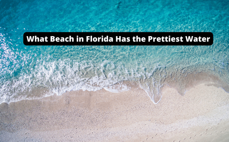Discovering Florida’s Beach Gems: Unveiling the Prettiest Turquoise Waters