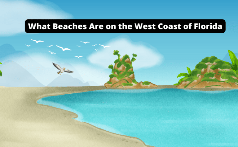 What Beaches Are on the West Coast of Florida [Must-See List!]