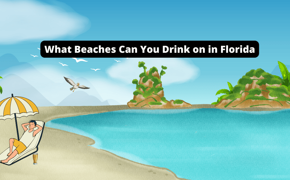 what beaches can you drink on in florida