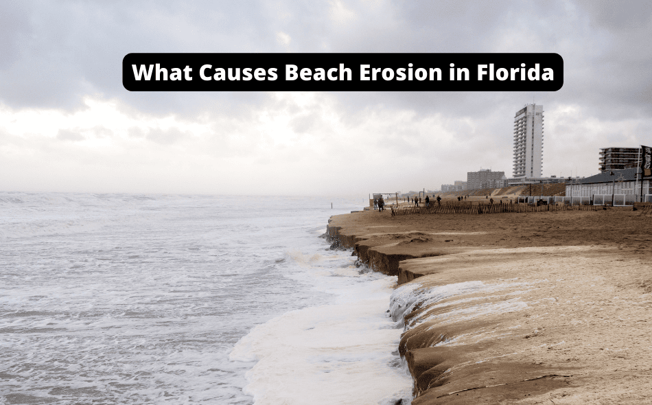 what causes beach erosion in florida