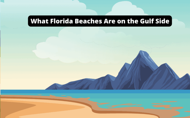 What Florida Beaches Are on the Gulf Side [Must-See Guide!]