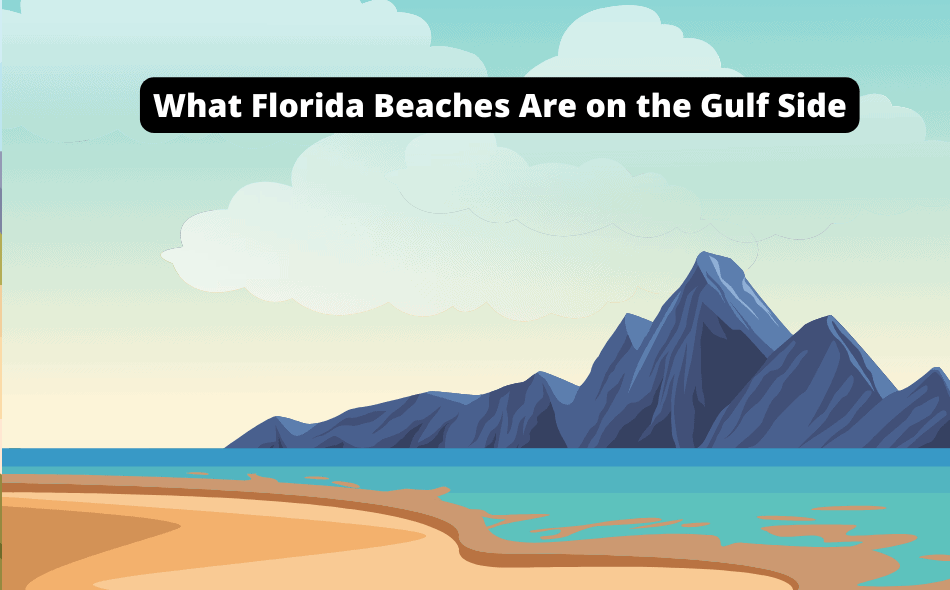 what florida beaches are on the gulf side