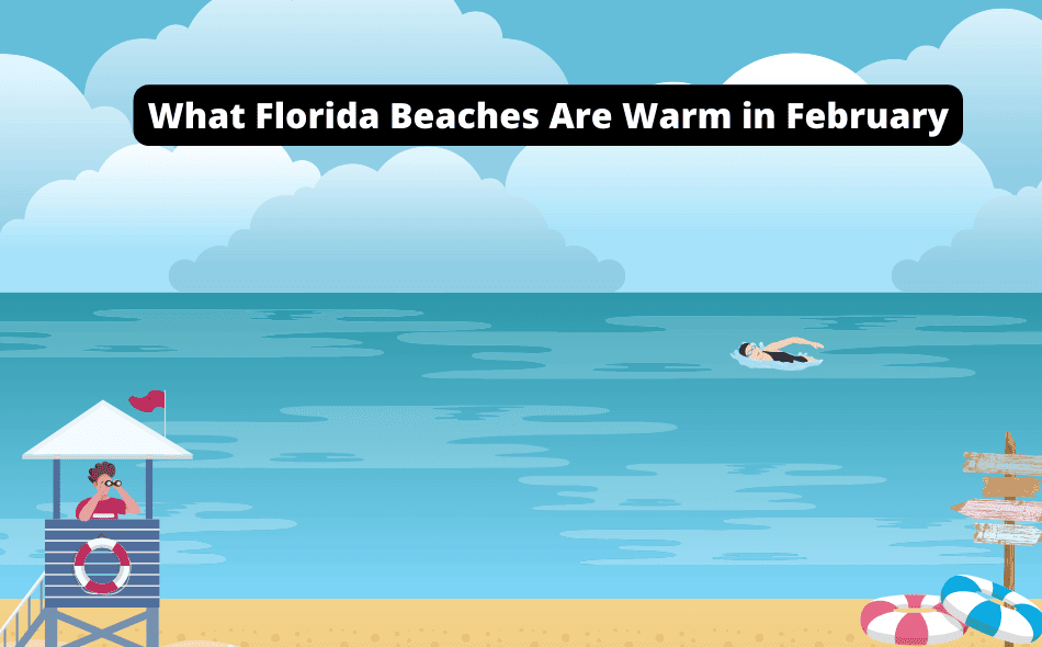 what florida beaches are warm in february