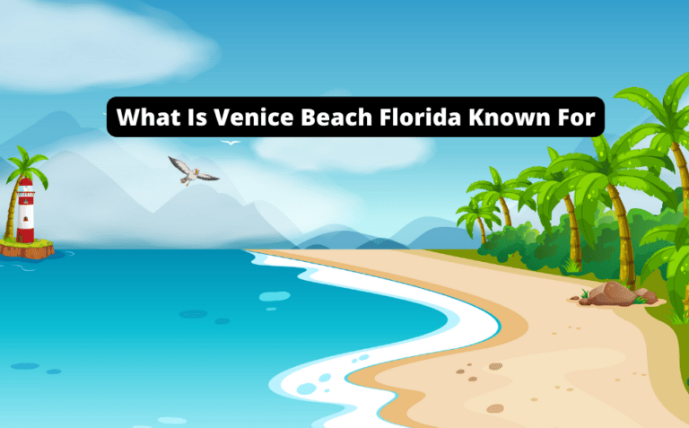 What is Venice Beach Florida Known For: [Discover the Hidden Gems Now!]