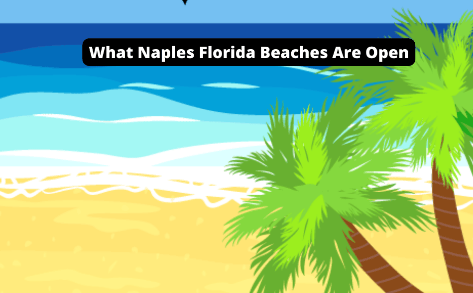 what naples florida beaches are open