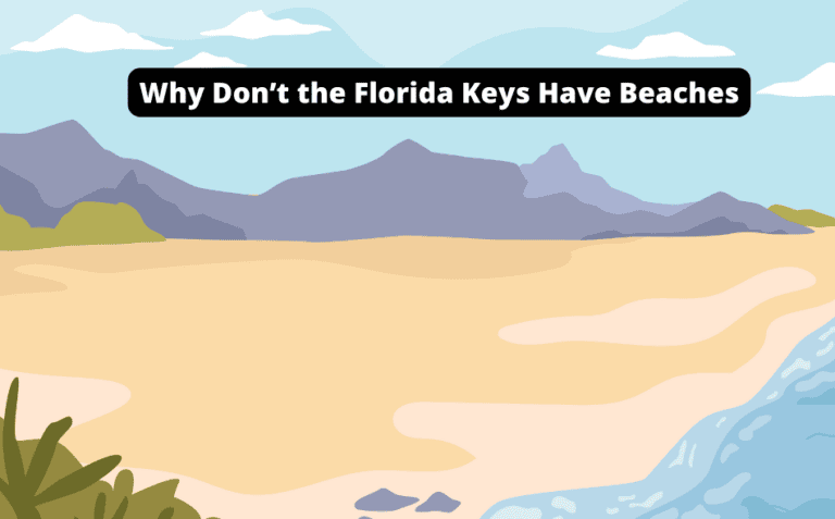 Why Don’t the Florida Keys Have Beaches? [Surprising Reasons Revealed!]